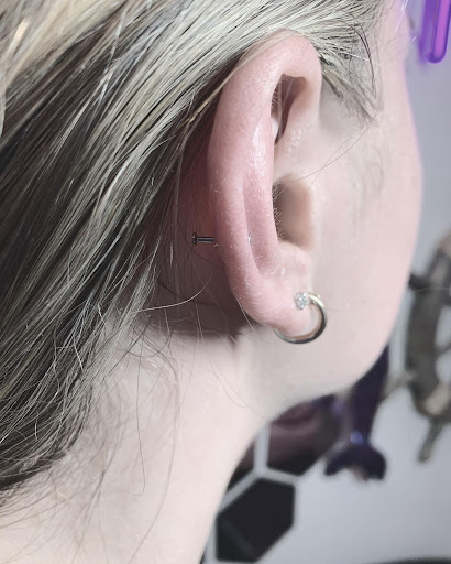 Explore black sheep tattoo ideas, creative tattoo ideas in Fort Walton Beach, available at Piercings by Torrie