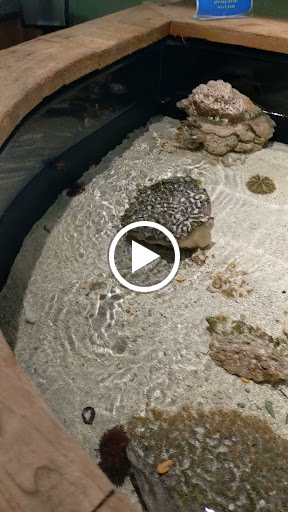 Aquarium «The River Center», reviews and photos, 805 US-1, Jupiter, FL 33477, USA