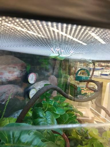 Pet Supply Store «PetSmart», reviews and photos, 6675 S Virginia St, Reno, NV 89511, USA