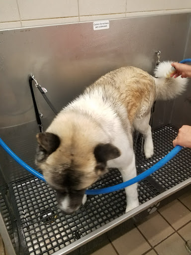 Pet Supply Store «Pet Supplies Plus», reviews and photos, 126 E Main St, Smithtown, NY 11787, USA