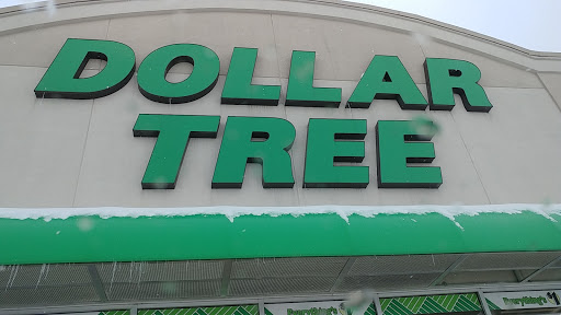 Dollar Store «Dollar Tree», reviews and photos, 1420 S Centerville Rd, Sturgis, MI 49091, USA
