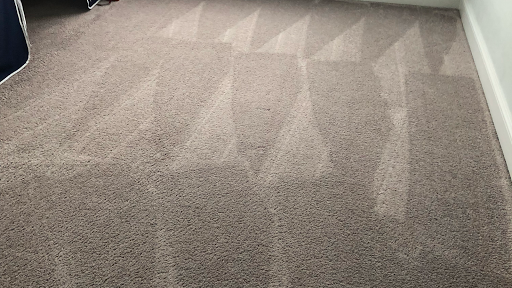 Pugh's Professional Carpet Cleaning