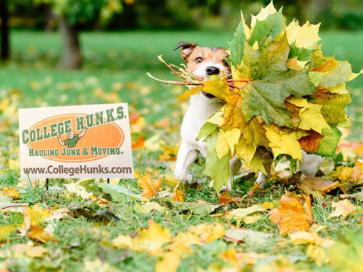 Moving Company «College Hunks Hauling Junk and Moving», reviews and photos, 39 Davenport St, Stamford, CT 06902, USA