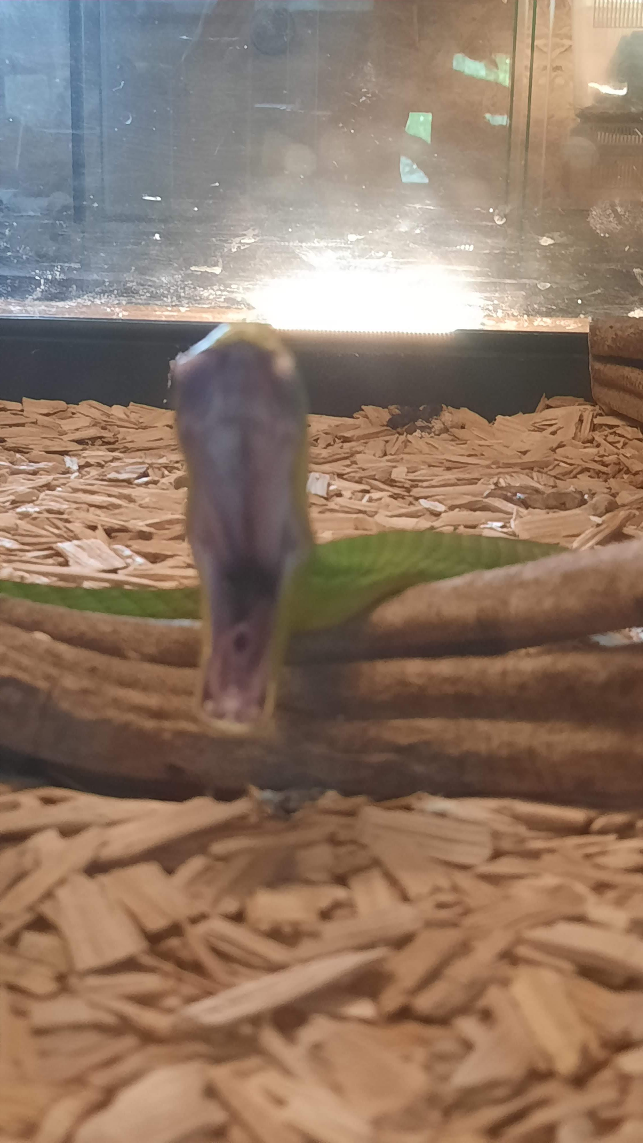 Photo n° 4 de l'avis de Kaya.a fait le 20/08/2022 à 07:05