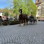 Photo n°3 de l'avis de Mathias.c fait le 07/04/2024 à 13:53 sur le  Restaurant Don Quichotte à Rust