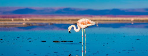 SA Expeditions image