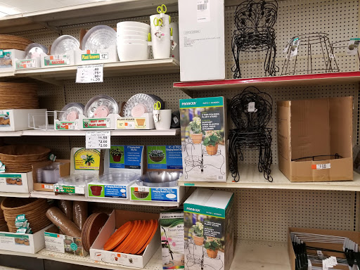 Discount Store «Ocean State Job Lot», reviews and photos, 13 Wells Rd, Wethersfield, CT 06109, USA