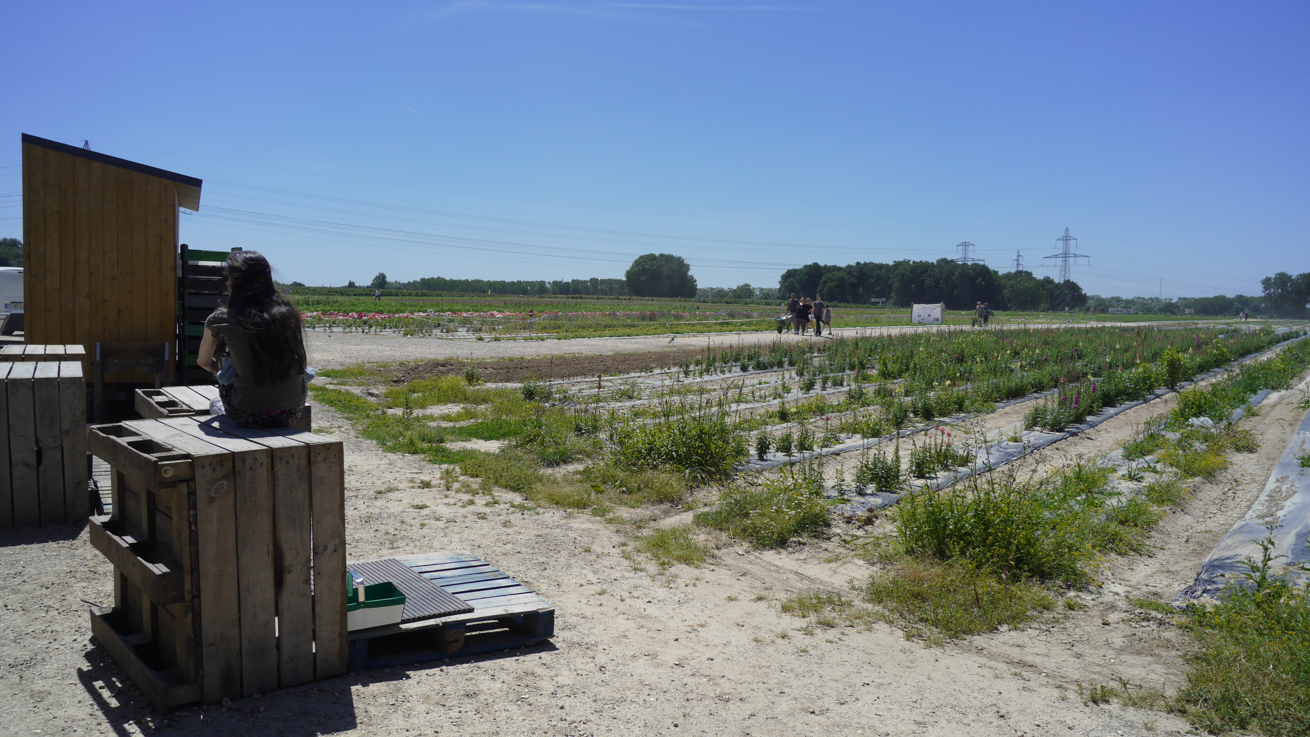 Photo n° 1 de l'avis de Jean.o fait le 23/06/2018 à 11:06