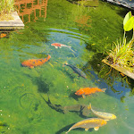 Photo n° 2 de l'avis de alexandra.u fait le 11/08/2023 à 12:10 pour Aquarium d'Amnéville à Amnéville