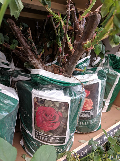 Home Improvement Store «Tractor Supply Co.», reviews and photos, 3791 AL-14, Millbrook, AL 36054, USA