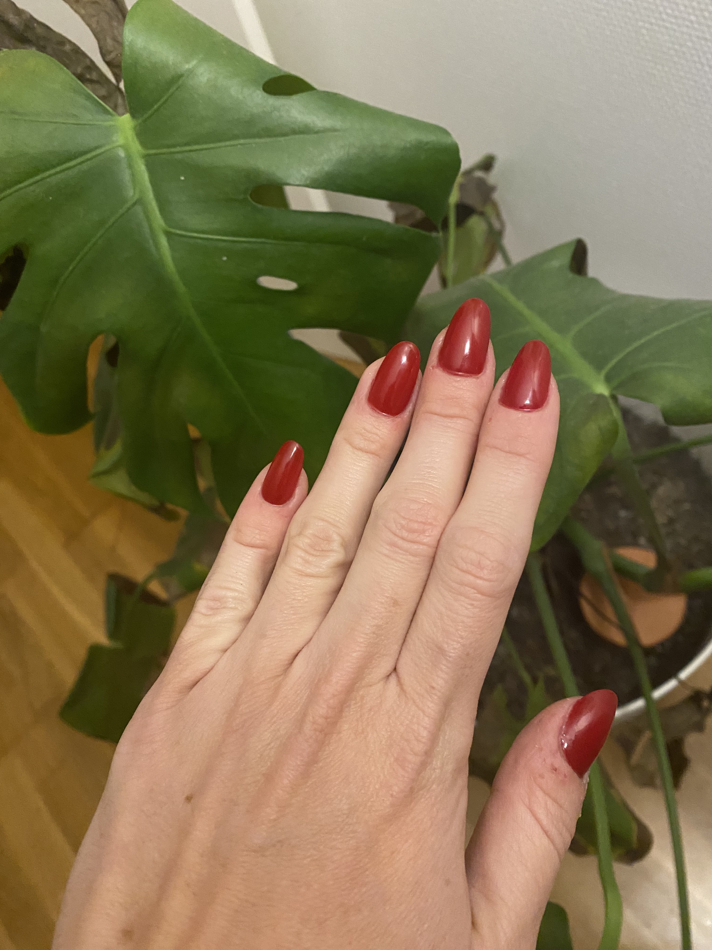 Photo n° 1 de l'avis de Charlotte.� fait le 02/11/2023 à 17:59