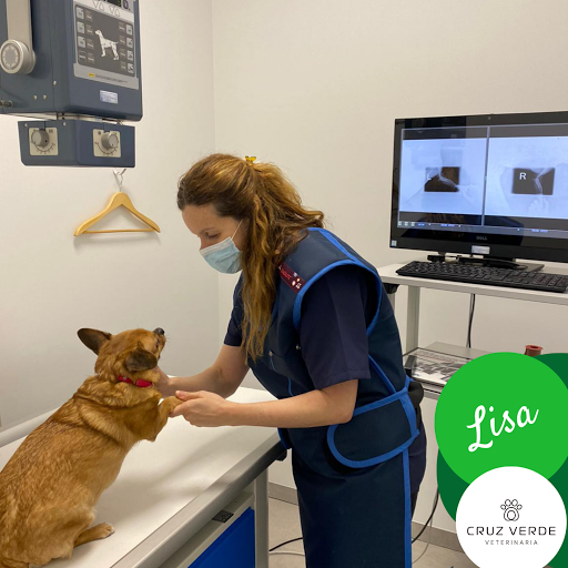 Clínica Veterinaria Cruz Verde - Vigo - en Vigo