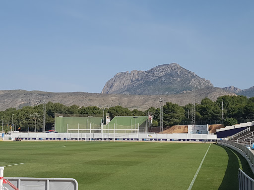 Estadio Municipal Guillermo AMOR Alicante