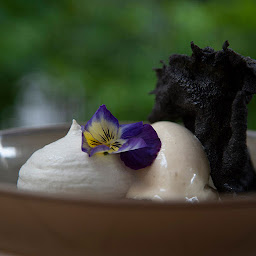 Photo n°31 de Pottoka à Paris ()