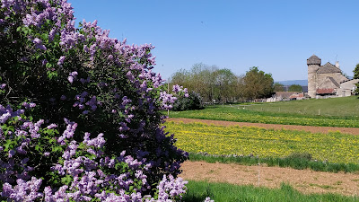 Aire du Choizal à Balsièges