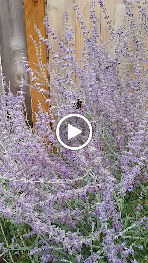 2870 SE 75th Ave, Hillsboro, OR 97123, USA