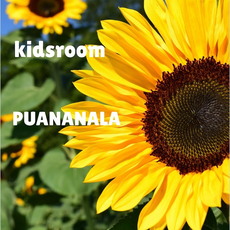 Kidsroom Puananala 保育園
