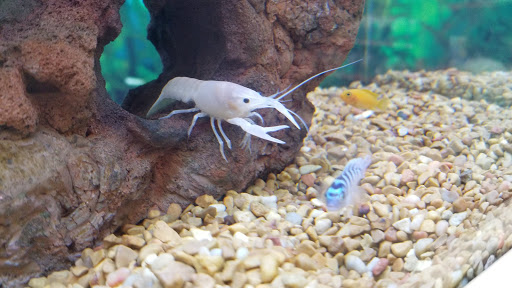 Pet Supply Store «Petco Animal Supplies», reviews and photos, 3424 W Shore Dr, Holland, MI 49424, USA