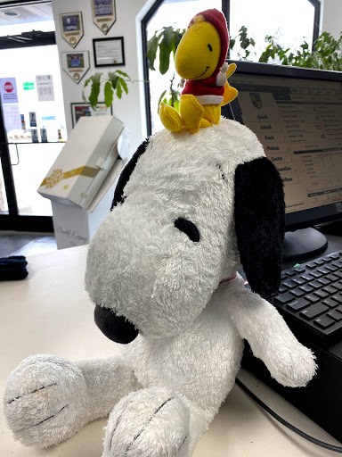 Dry Cleaner «Executive Cleaners», reviews and photos, 2 Howe St, New Haven, CT 06511, USA