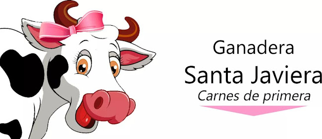 Opiniones de Ganadera santa javiera en Las Condes - Carnicería