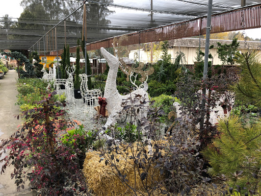 Gift Shop «Alladin Nursery & Gift Shop», reviews and photos, 2905 Freedom Blvd, Watsonville, CA 95076, USA