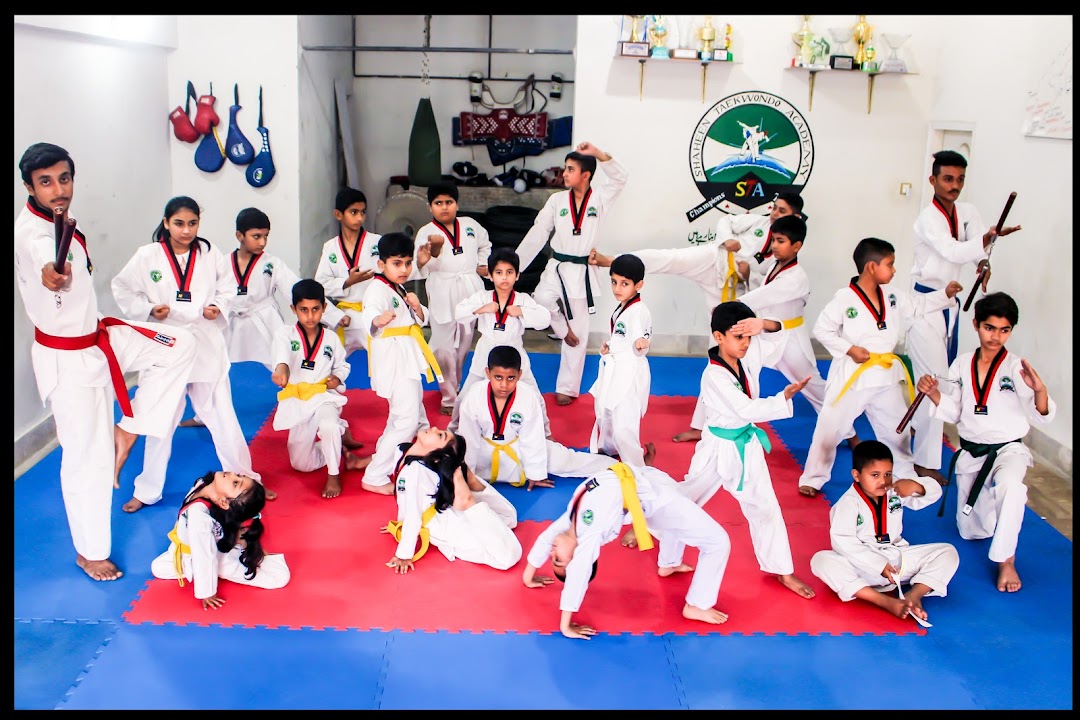 Shaheen Taekwondo Academy