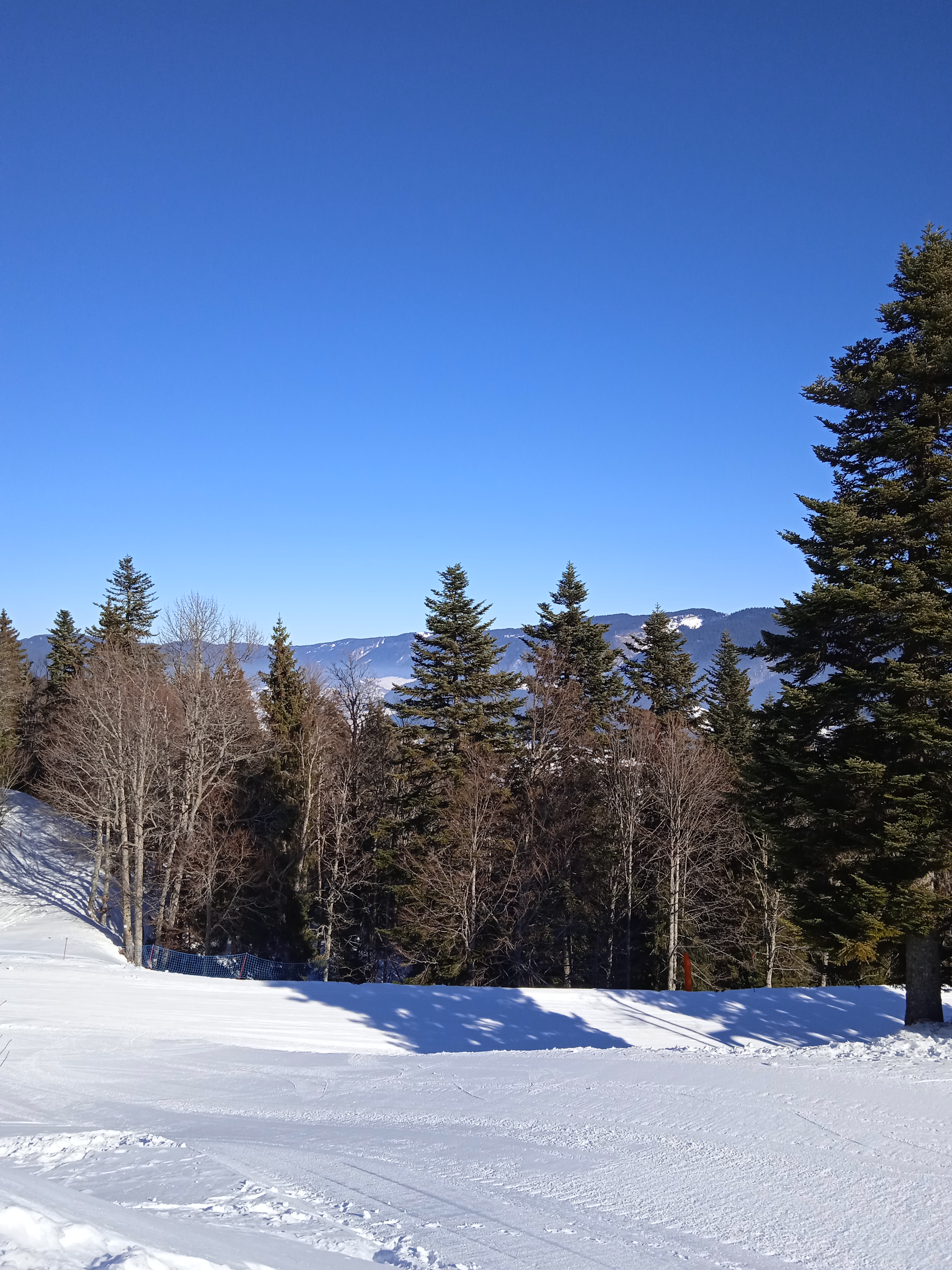 Photo n° 2 de l'avis de Didier.a fait le 19/01/2022 à 19:24