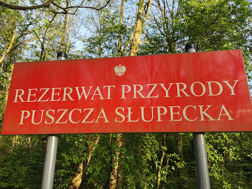 Rezerwat przyrody Puszcza Słupecka