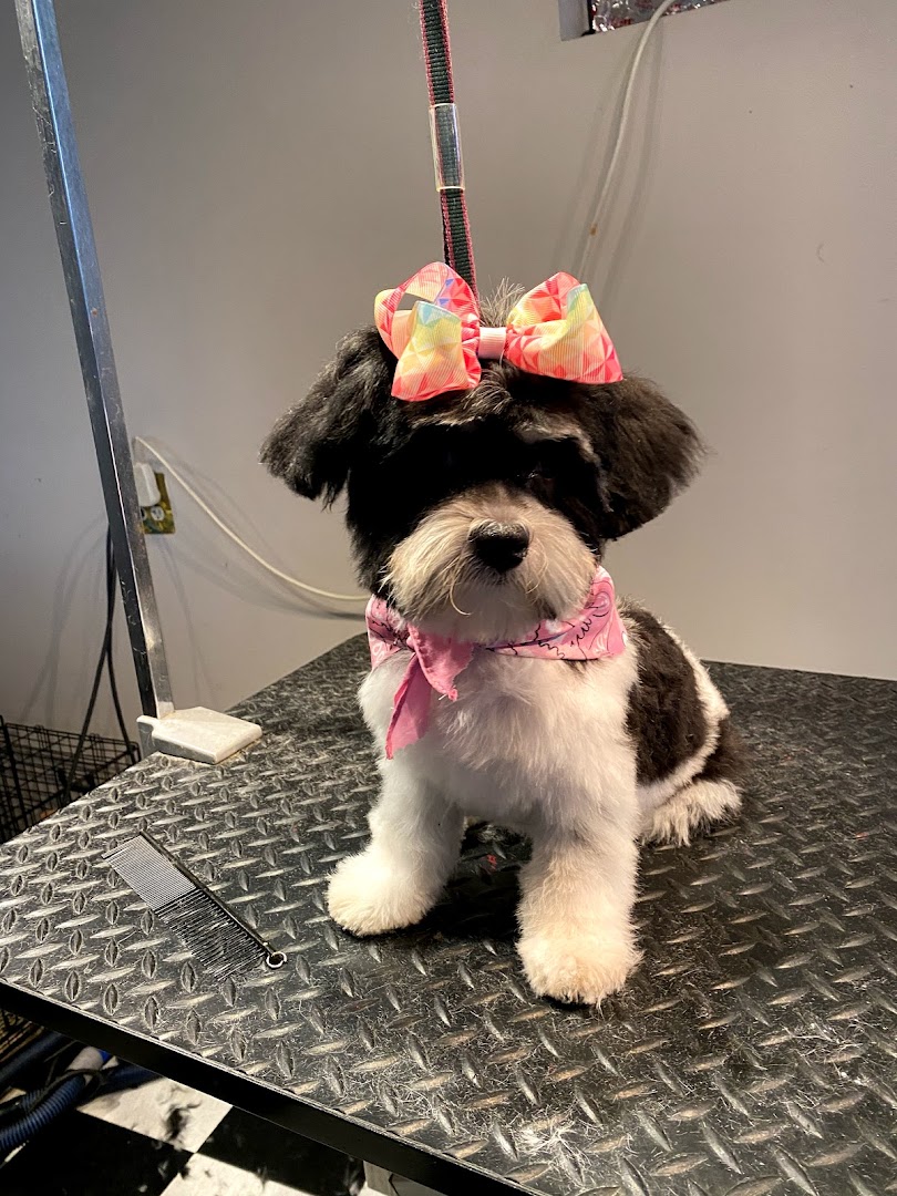 MY BEST FRIEND ( Formerly West End) Grooming Boutique