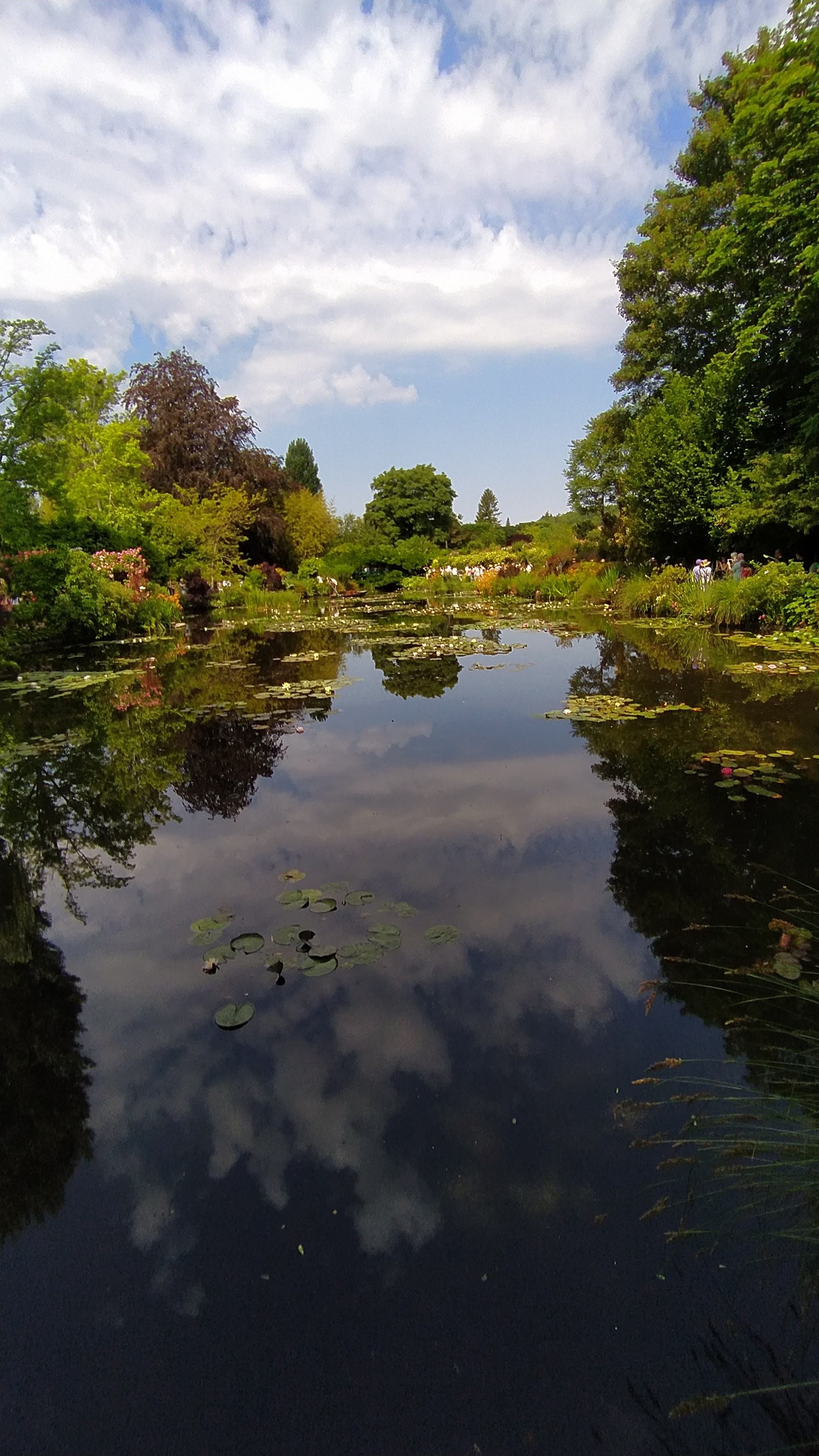 Photo n° 8 de l'avis de Laure.a fait le 16/06/2023 à 22:38