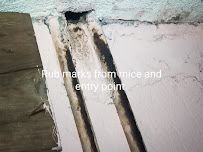 Biggins Exterminating Co. - Photo 7 - Car repair in , Cambridge