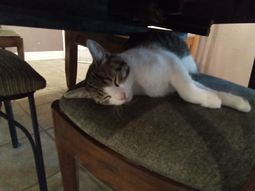 Community College «San Juan College», reviews and photos