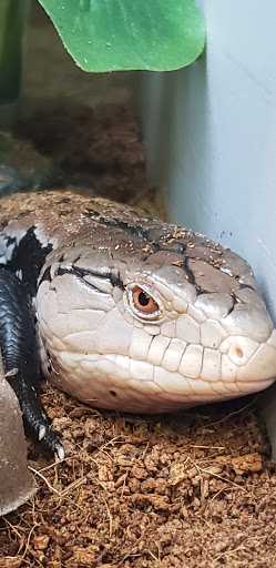 Pet Supply Store «Petco Animal Supplies», reviews and photos, 2575 Fairview Ave N, Roseville, MN 55113, USA