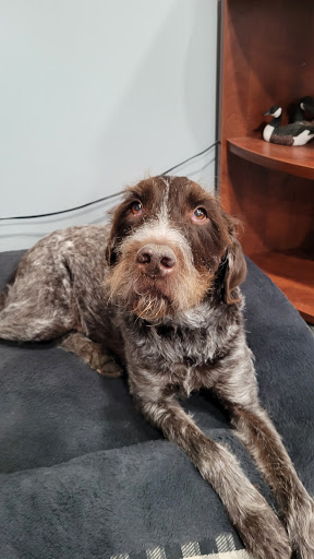 Auto Insurance Agency «Larry Thein - State Farm Insurance Agent», reviews and photos