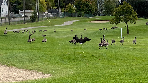 Public Golf Course «The Links at Crystal Lake», reviews and photos, 800 Golf Dr, Pontiac, MI 48341, USA