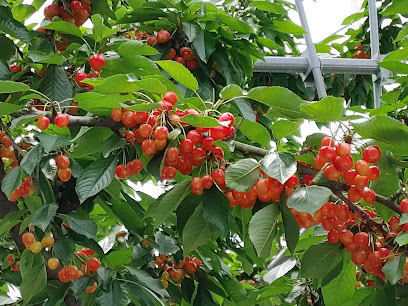 信州奥田農園