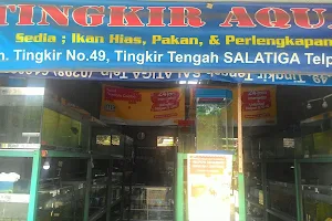 Tingkir Aquatic image