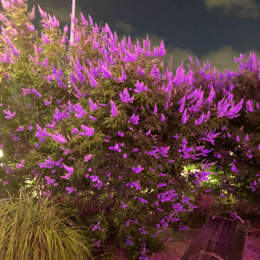 Movie Theater «Edwards West Oaks Mall 14 & RPX», reviews and photos, 700 West Oaks Mall, Houston, TX 77082, USA