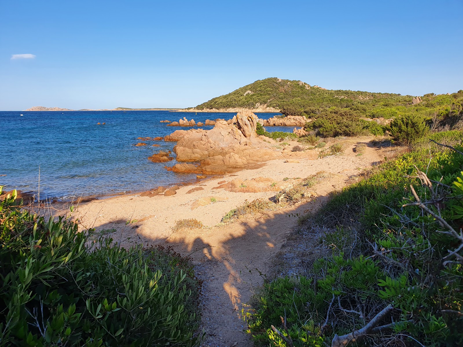 Photo de Spiaggia dei Ricci avec plage sans baie