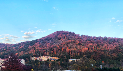 Shopping Mall «Innsbruck Mall», reviews and photos, 85 Tunnel Rd #40, Asheville, NC 28805, USA