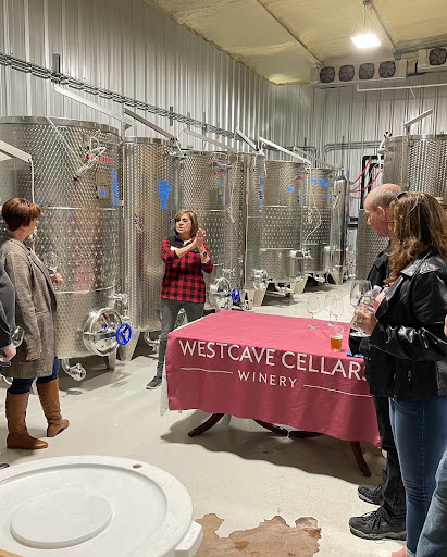 Winery «Westcave Cellars Winery», reviews and photos, 25711 Hamilton Pool Rd, Round Mountain, TX 78663, USA