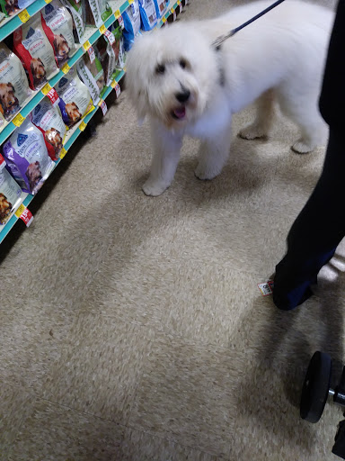 Pet Supply Store «PetSmart», reviews and photos, 6204 W Park Blvd, Plano, TX 75093, USA