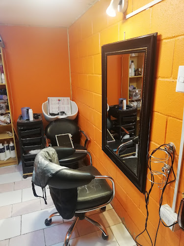Opiniones de lyankin peluqueria en Puente Alto - Peluquería