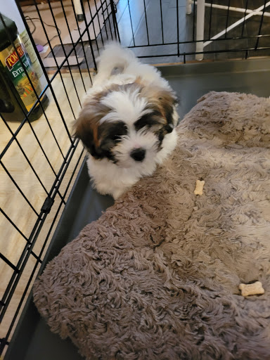 Pet Store «Village Pet Shop», reviews and photos, 701 N Black Horse Pike, Williamstown, NJ 08094, USA