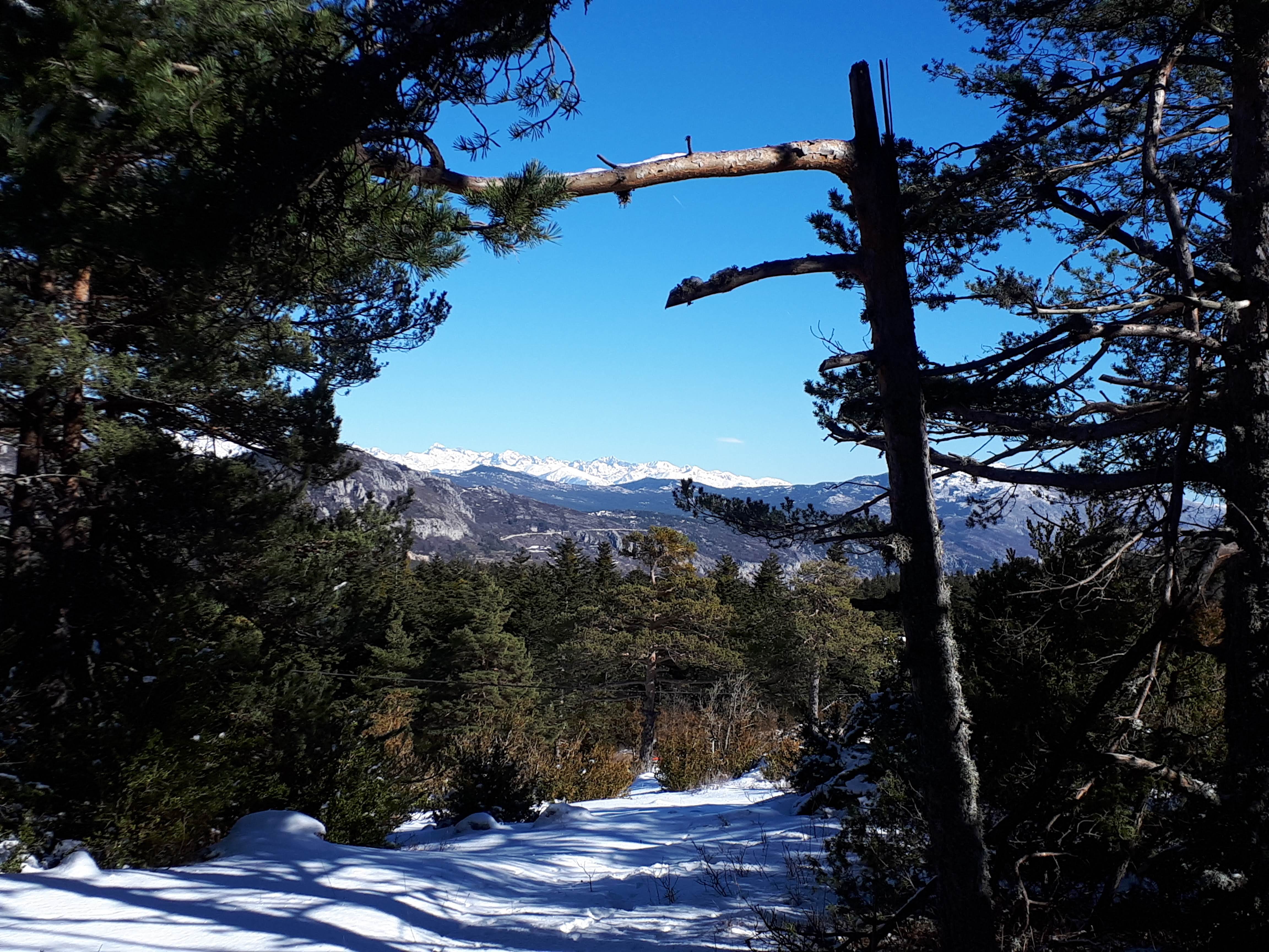 Photo n° 1 de l'avis de jean-pierre.e fait le 10/02/2019 à 20:20