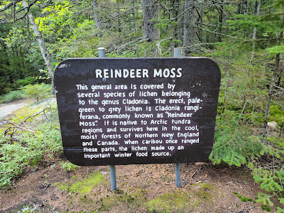 Moose Caves