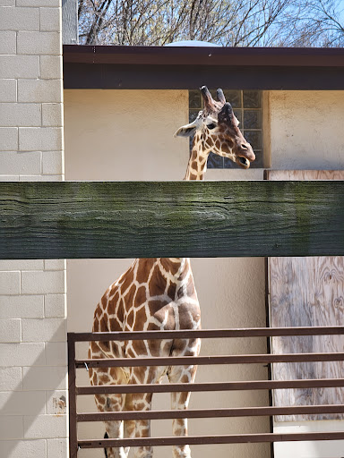 Zoo «Henry Vilas Zoo», reviews and photos, 702 S Randall Ave, Madison, WI 53715, USA