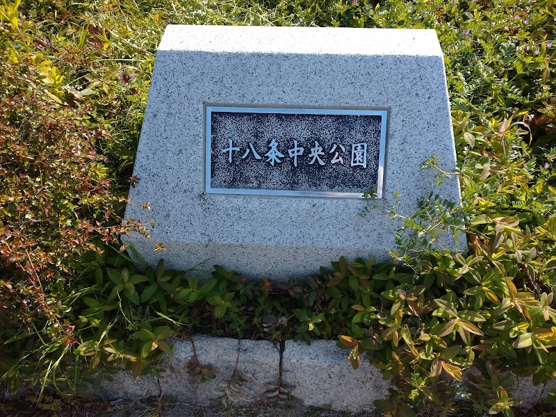 十八条中央公園