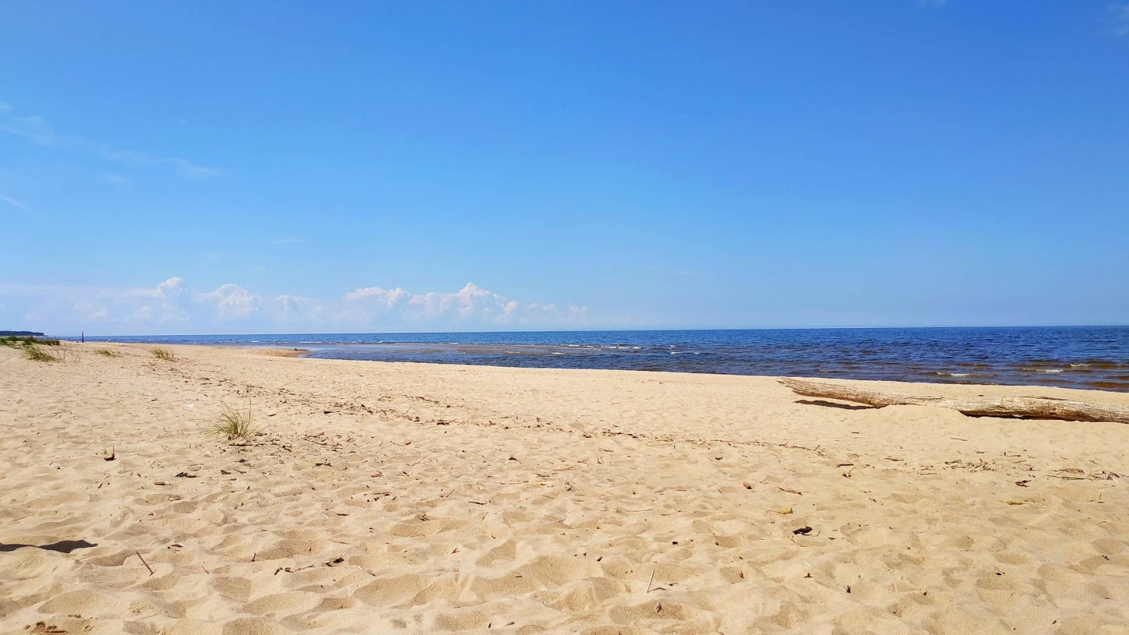 Lilaste beach的照片 带有蓝色的水表面