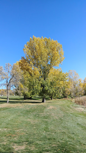 Golf Course «Patty Jewett Municipal Golf Course», reviews and photos, 900 E Espanola St, Colorado Springs, CO 80907, USA